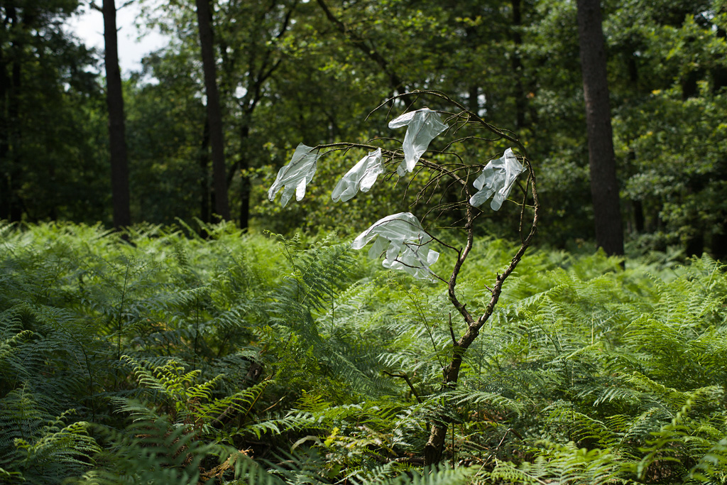 Extremely rare plastic gloves bush