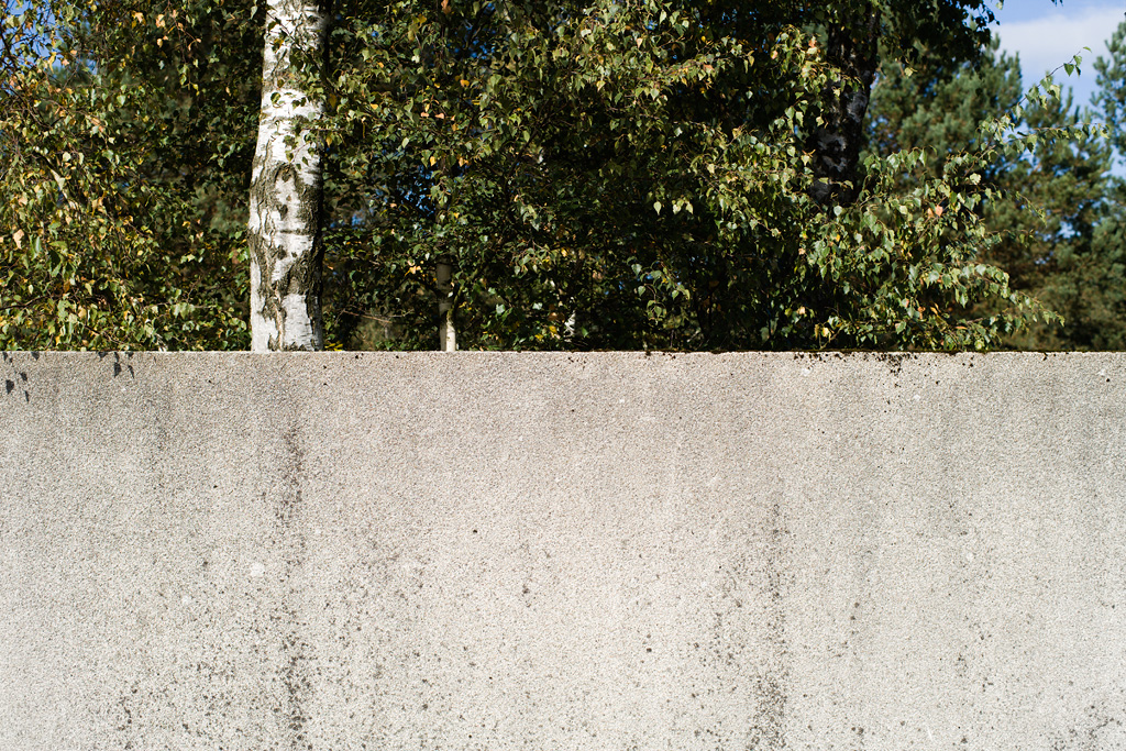 Concrete wall (with tree)