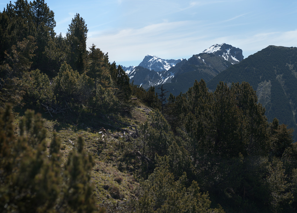 Mountain landscape I