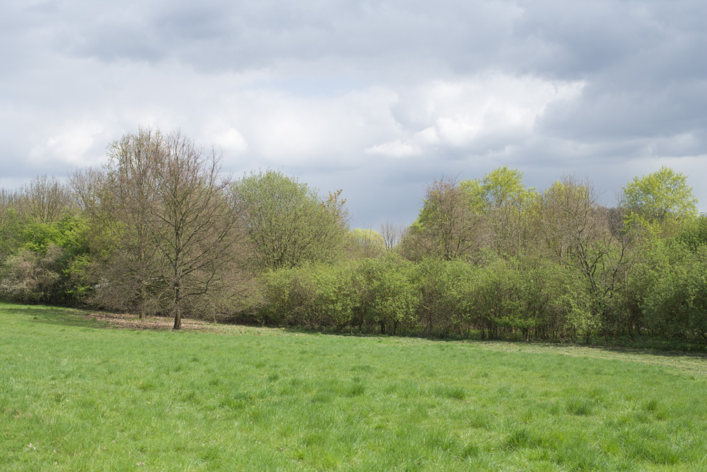 Landscape near Insel Hombroich