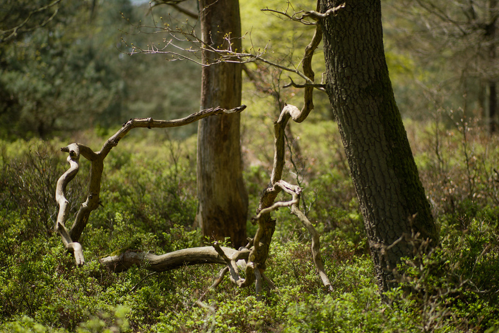 Photo Joeri van Veen 2012