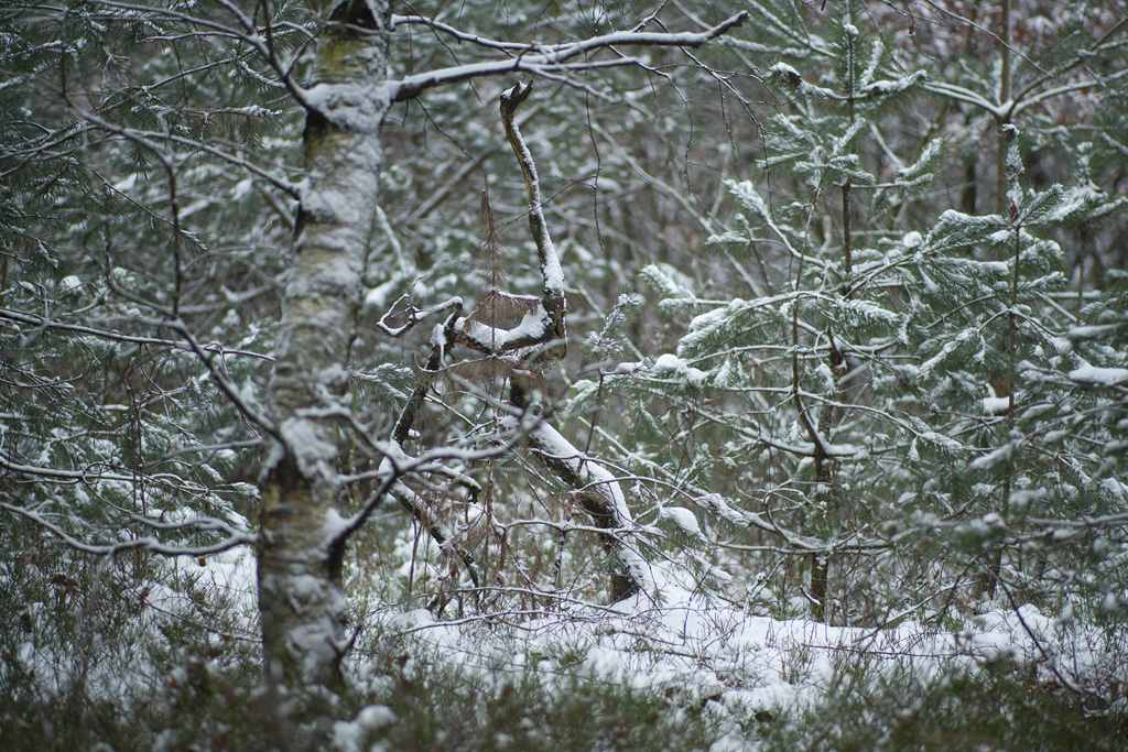 Photo Joeri van Veen 2013