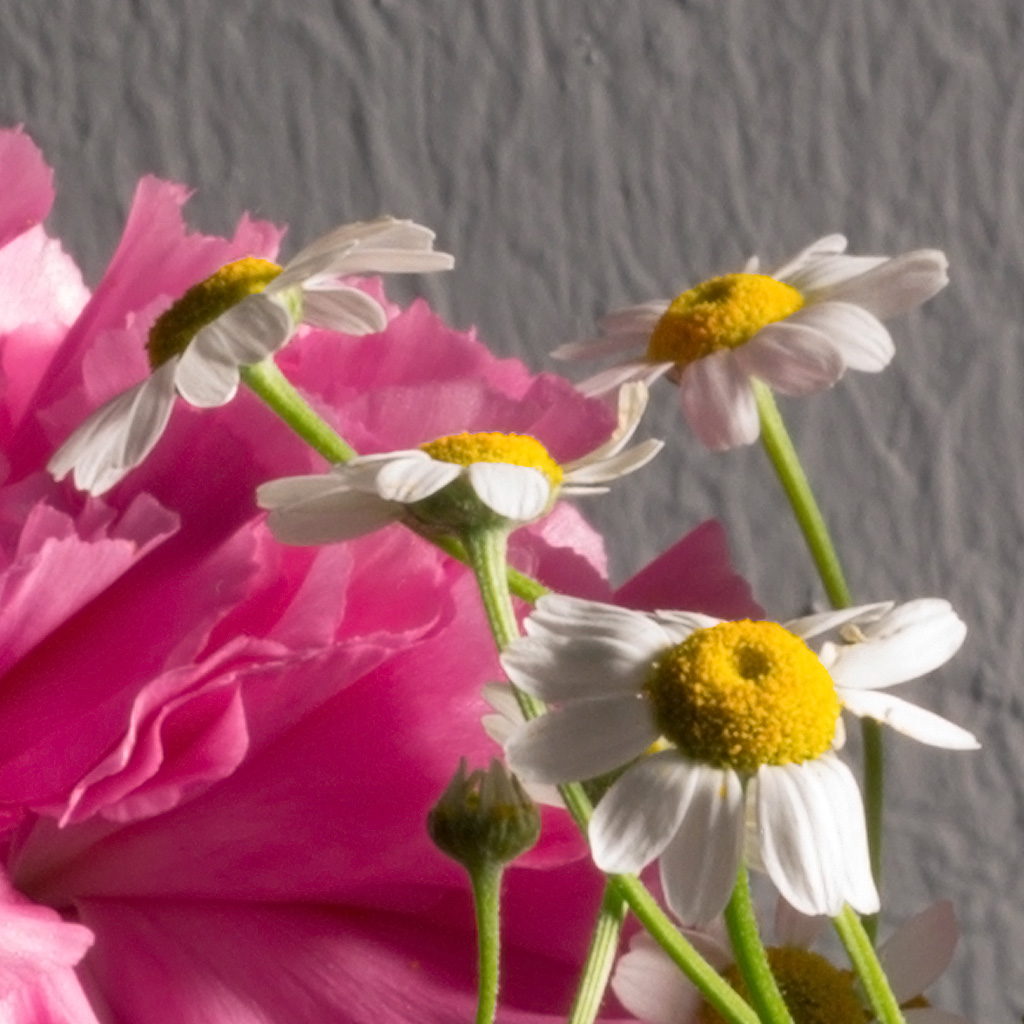 Vase [...] detail crop