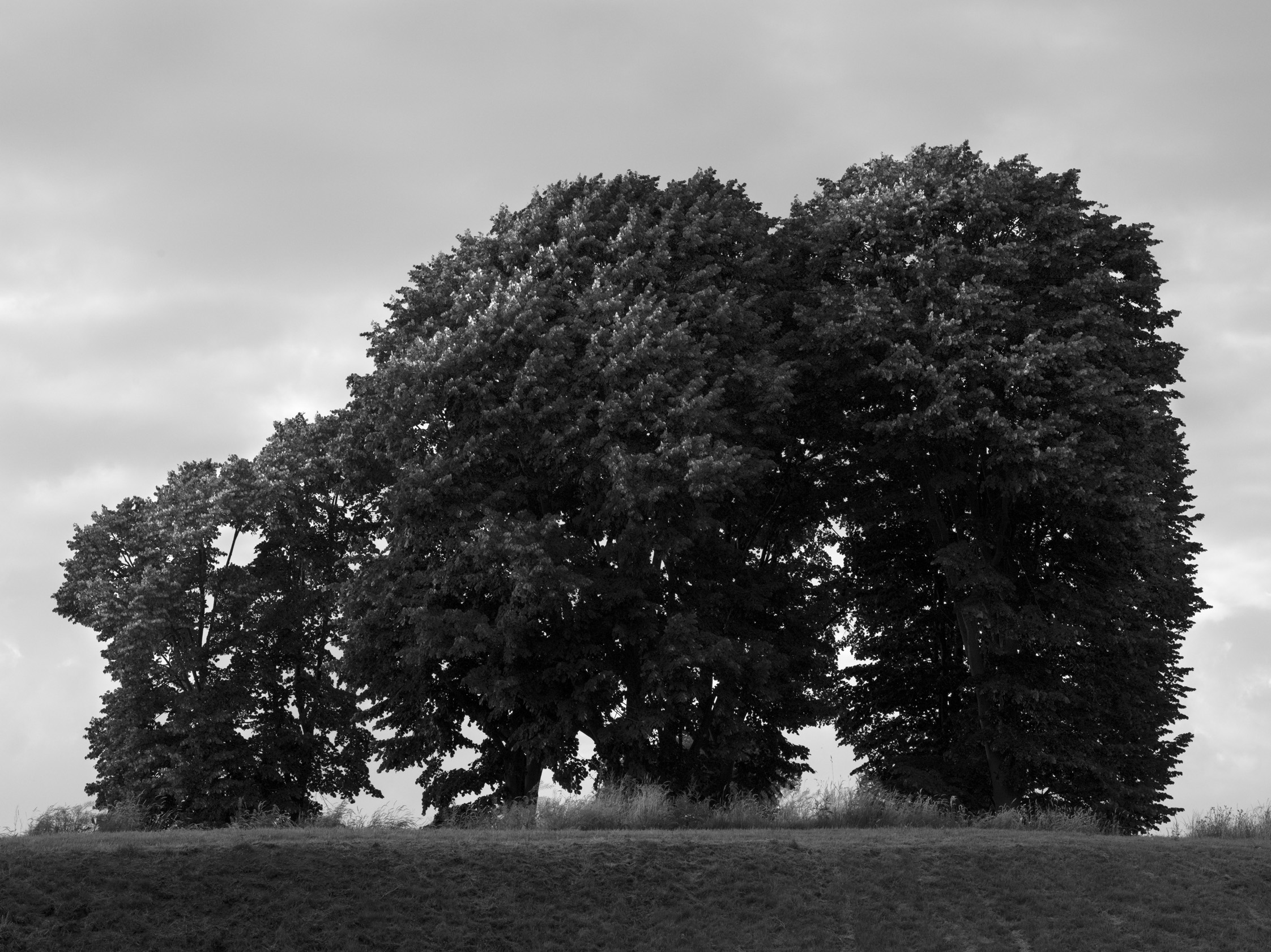 Landscape photograph Naarden Vesting 1/7