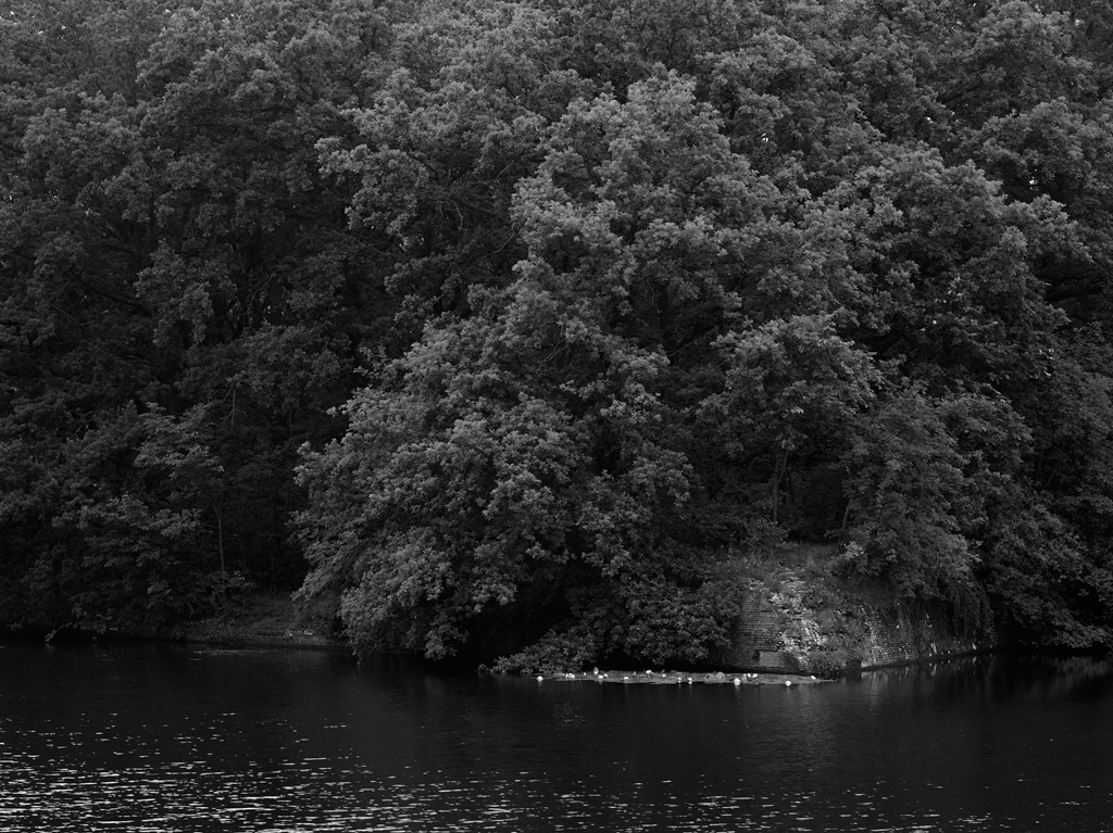 Landscape photograph Naarden Vesting 7/7