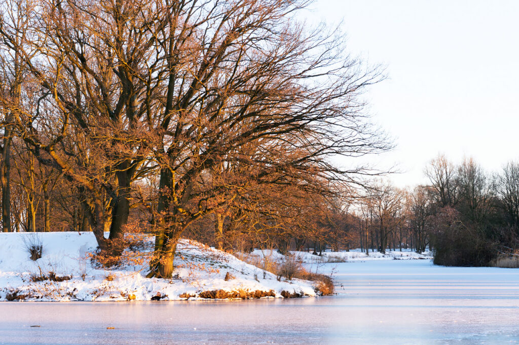 Winter landscape (Naarden Vesting) shot with the Sony A7