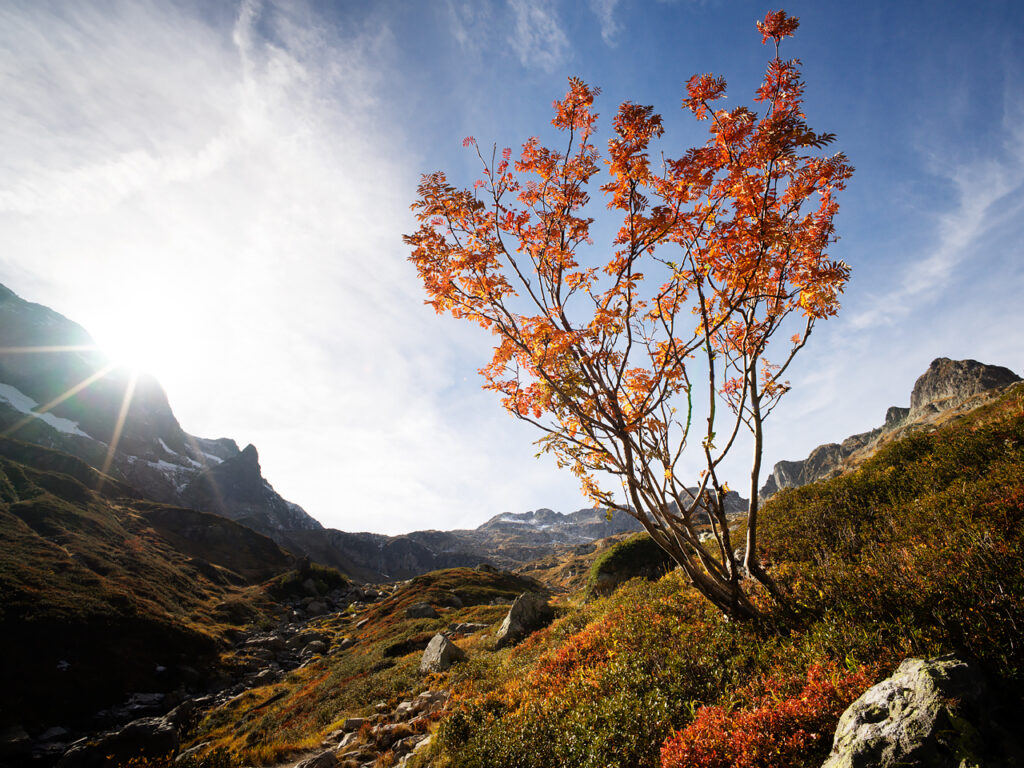 The Bérard valley in the French Alps. A gentle hike up along the mountain stream.