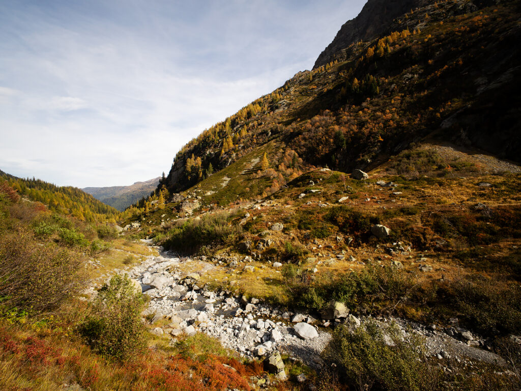 The mountain stream in the Bérard valley.