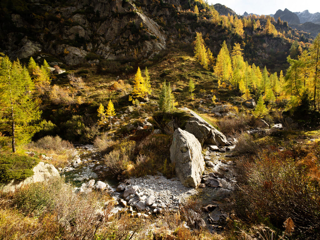 The mountain stream in the Bérard Valley during Autumn: beautiful colours and low sun light.