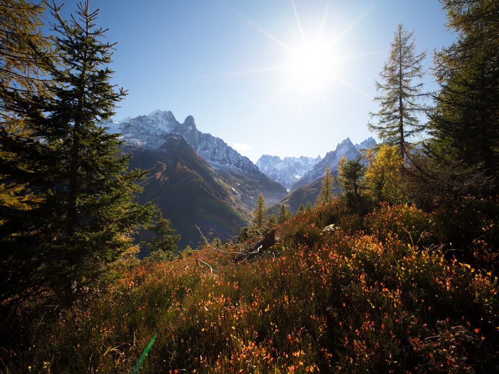 Mountain view from the ‘Sentier des gardes’ (path of the guards) around Chamonix, Alples, France.