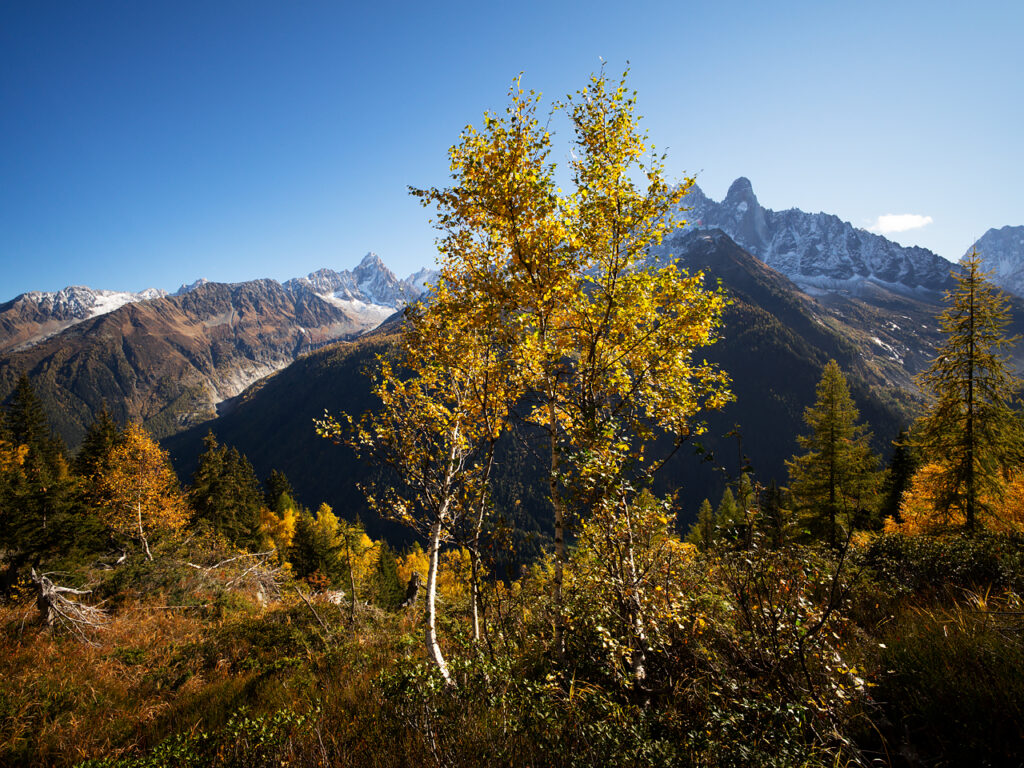 Autumn in the French alps: beautiful colours and vistas.